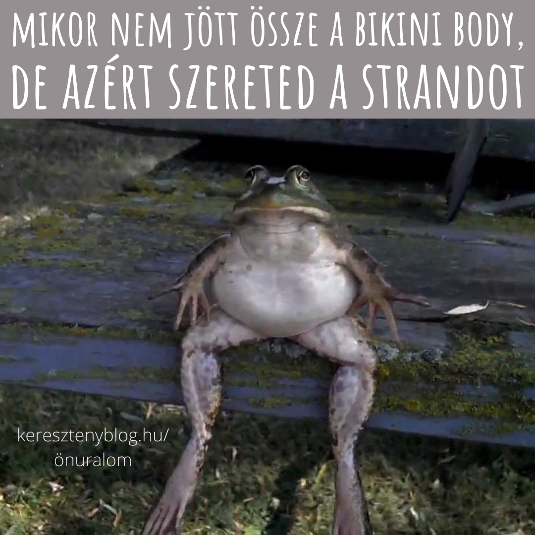 bikini body