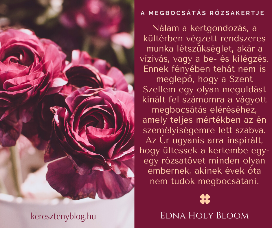 megbocsátás