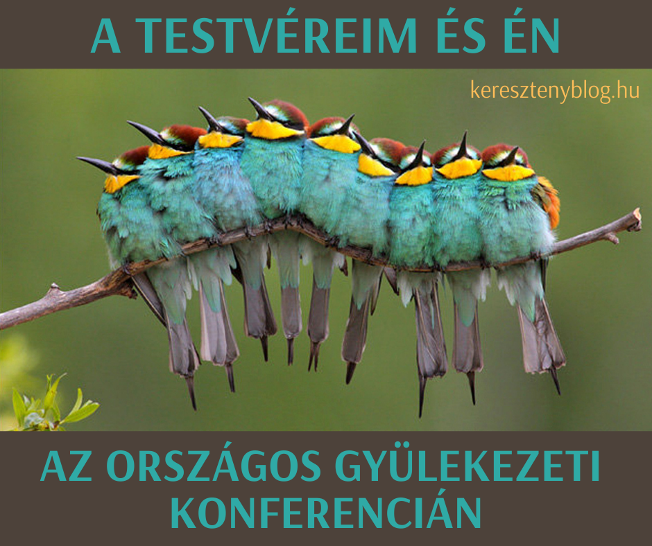 háromnapos