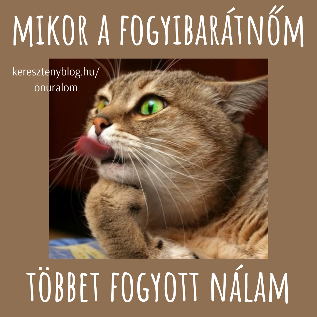 fogyibarátnő_png