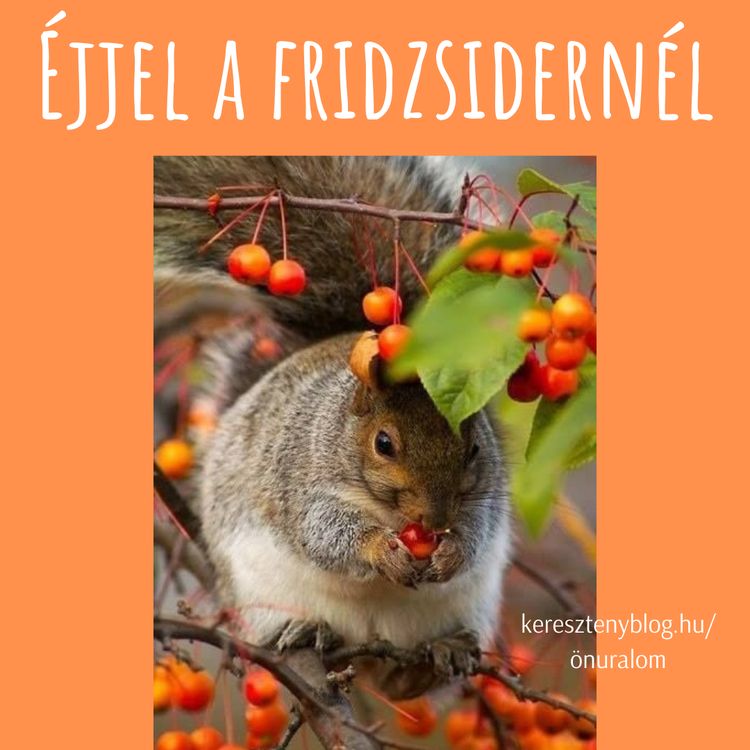 fridzsider_png